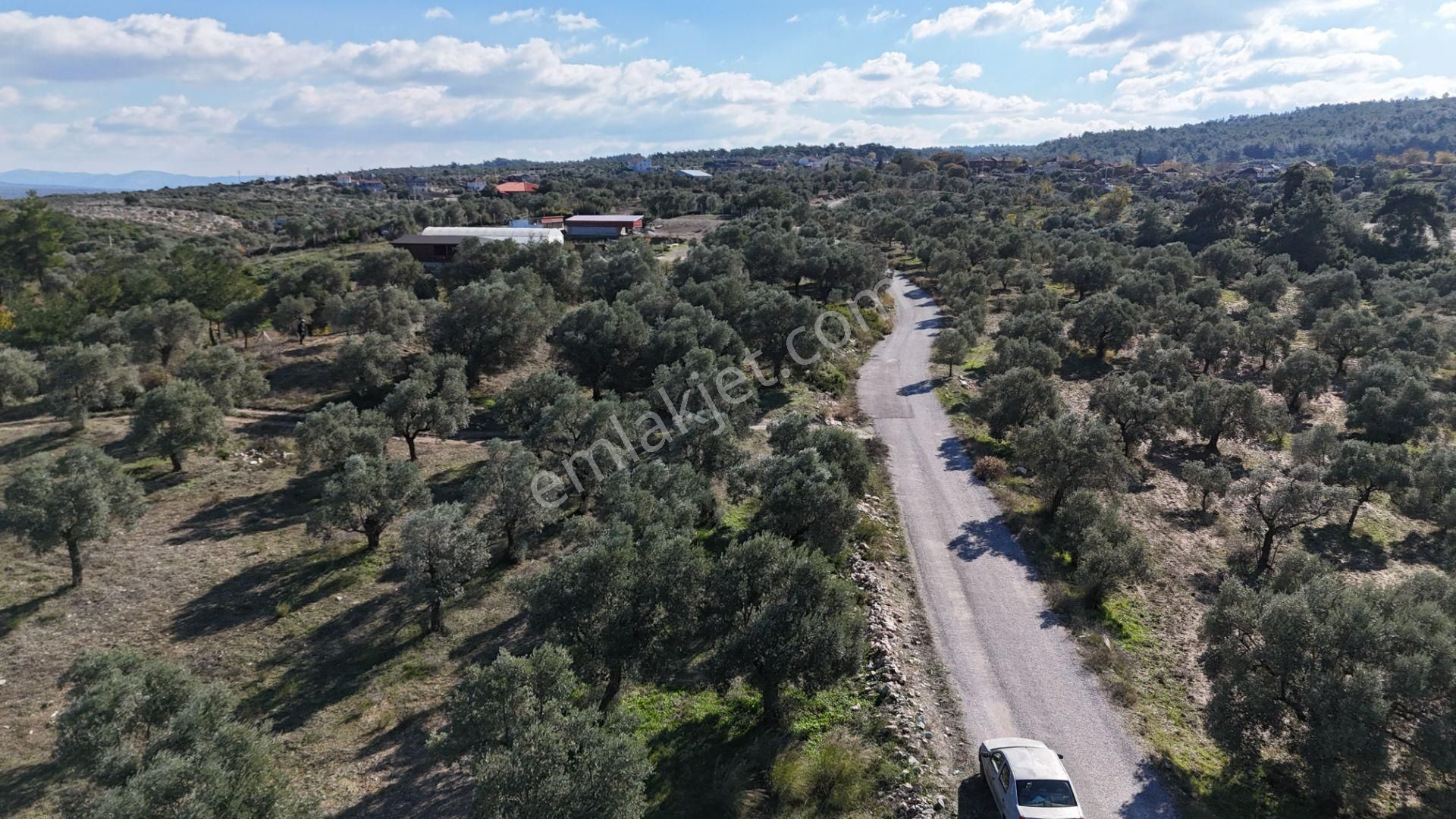 Menderes Gölova Satılık Tarla Gölovasında 5337 M2 Taksimli Asvalt Yol Merkezi Köye Yakın Menderes İzmir