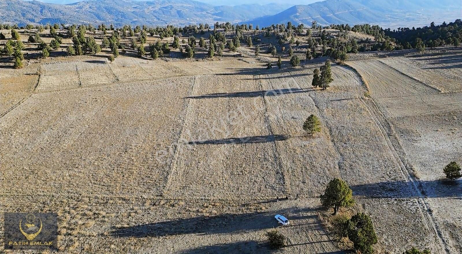 Çameli Cumaalanı Satılık Bağ & Bahçe Çameli Cumaalanında Satılık Resmi Yolu Olan 8 Dönüm Tarla