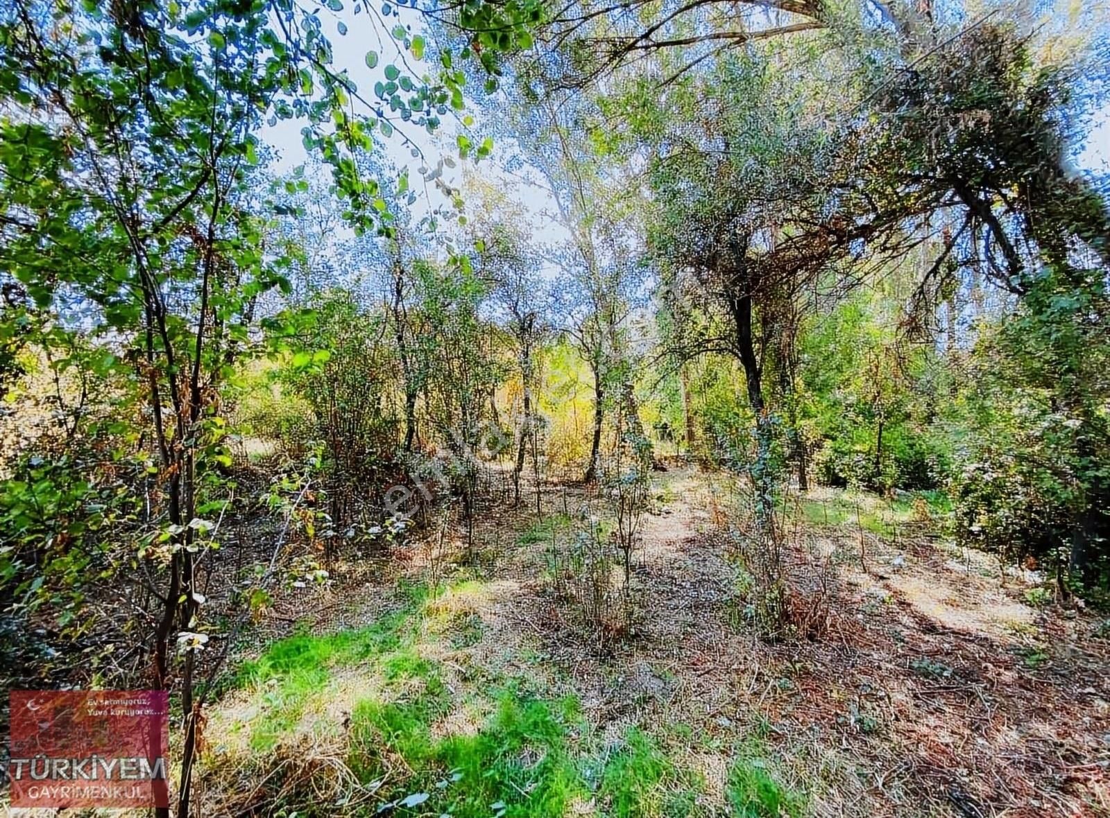 Melikgazi Büyük Bürüngüz Satılık Bağ & Bahçe Büyükbürüngüz Mahallesinde Doğa İle İç İçe Satılık Bahçe