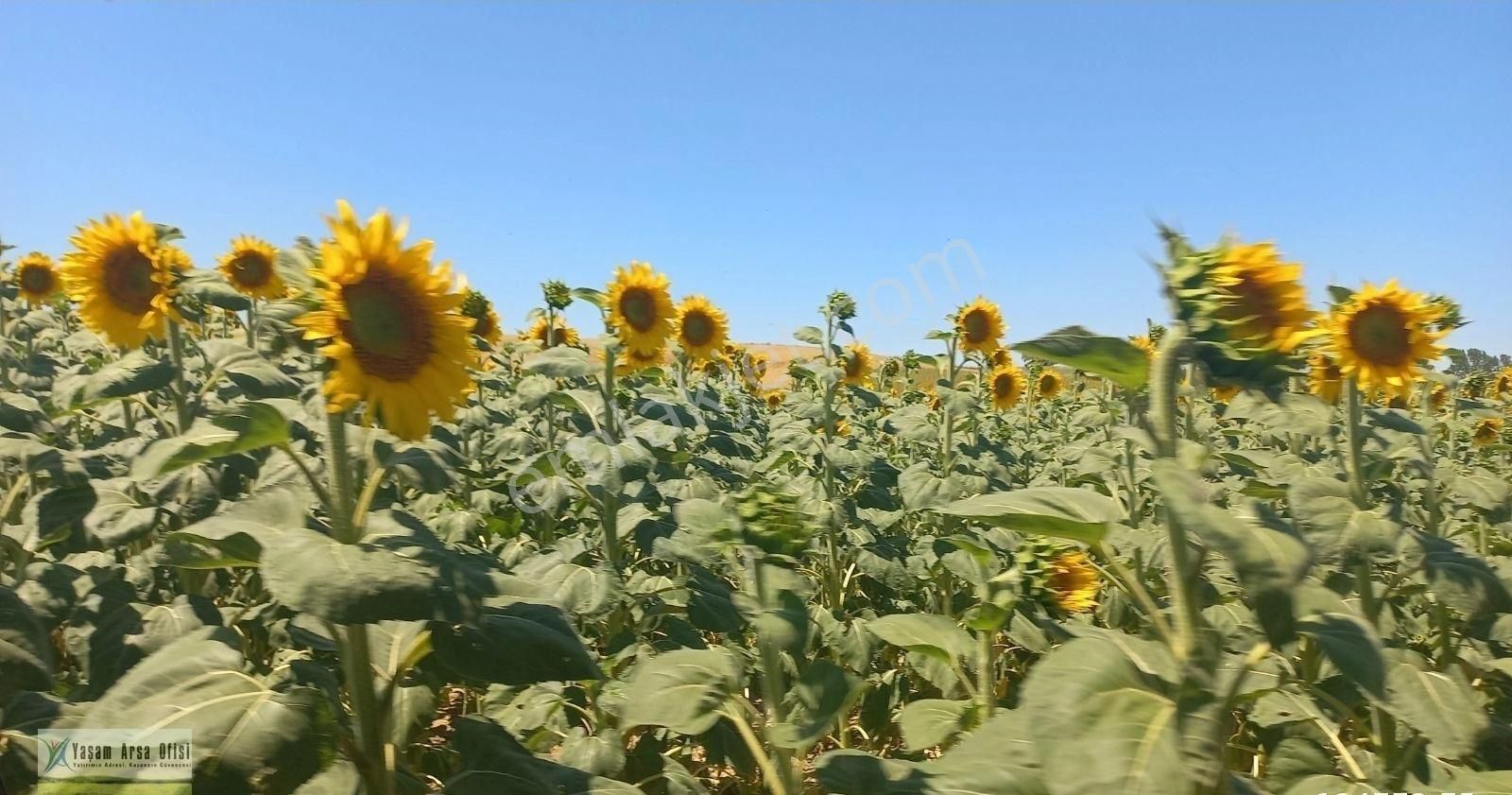 Lüleburgaz Ovacık Köyü Satılık Tarla Lüleburgaz Ovacık Köyünde 1600 M2 Satılık Yatırırımlık Arazi