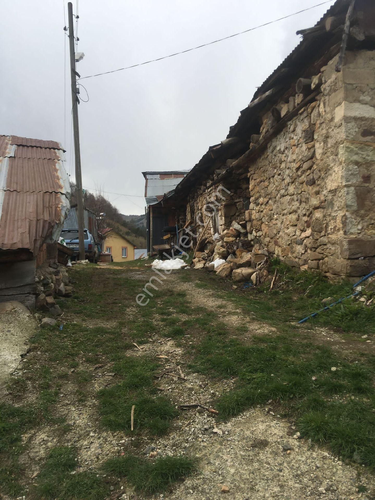 Giresun Alucra Cakrak Yeniköy Satılık - Görsel 3