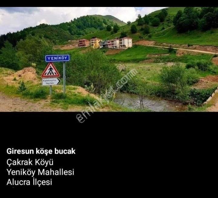 Giresun Alucra Satılık Ada Giresun Alucra Cakrak Yeniköy Satılık