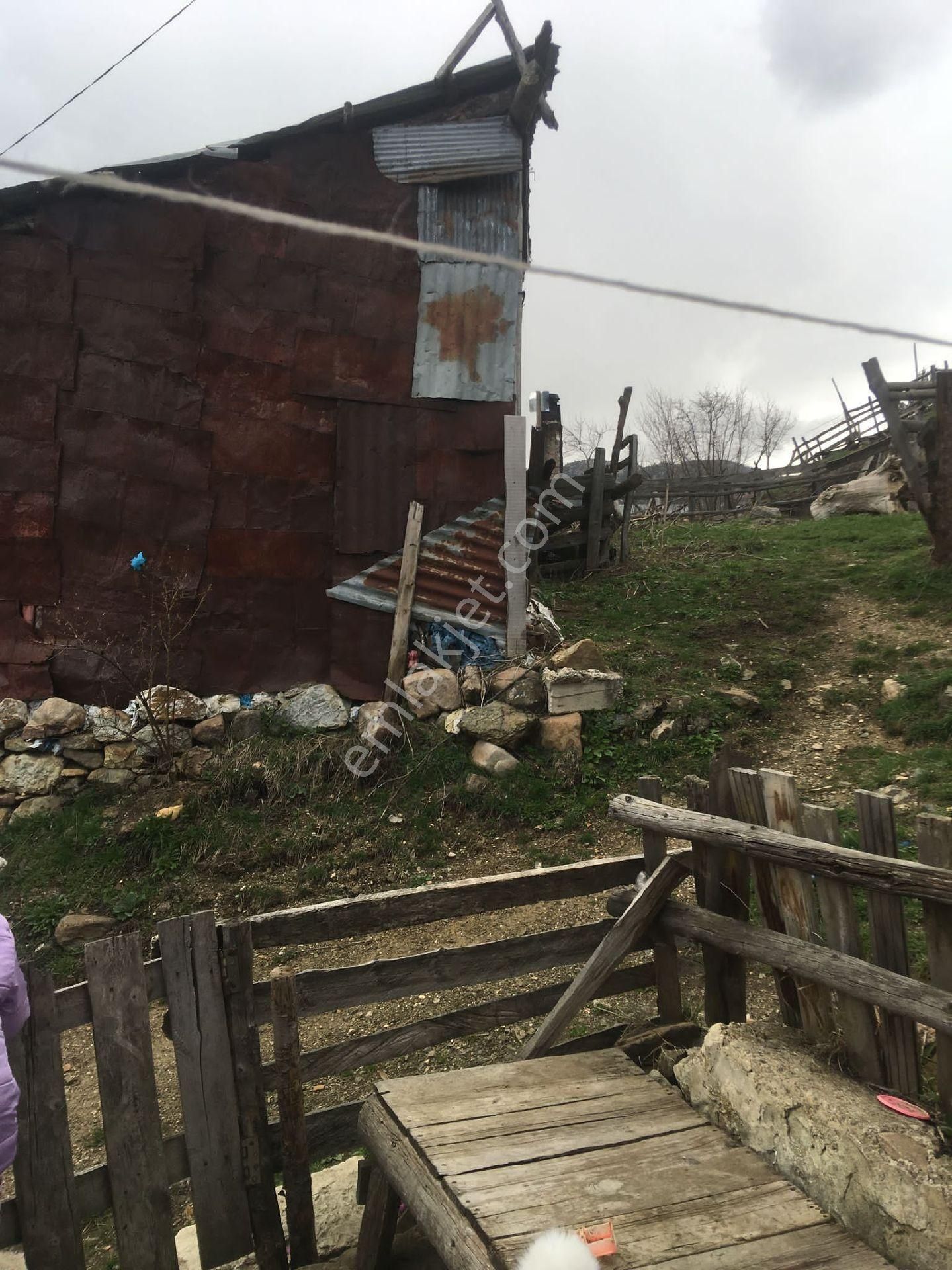 Giresun Alucra Cakrak Yeniköy Satılık - Görsel 7