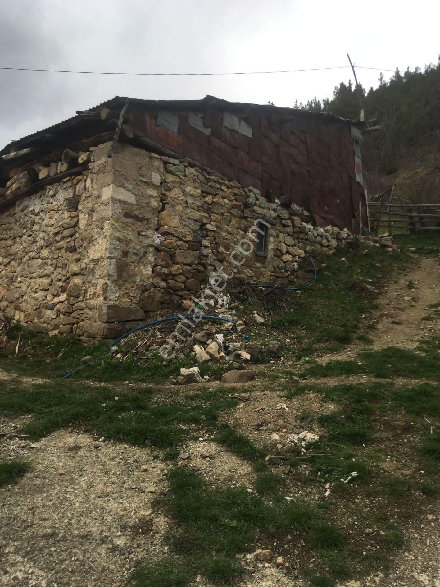 Giresun Alucra Cakrak Yeniköy Satılık - Görsel 4