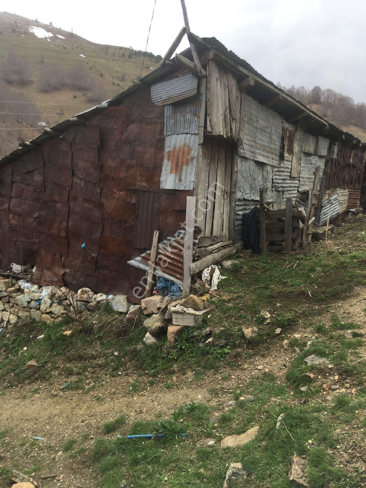 Giresun Alucra Cakrak Yeniköy Satılık - Görsel 9