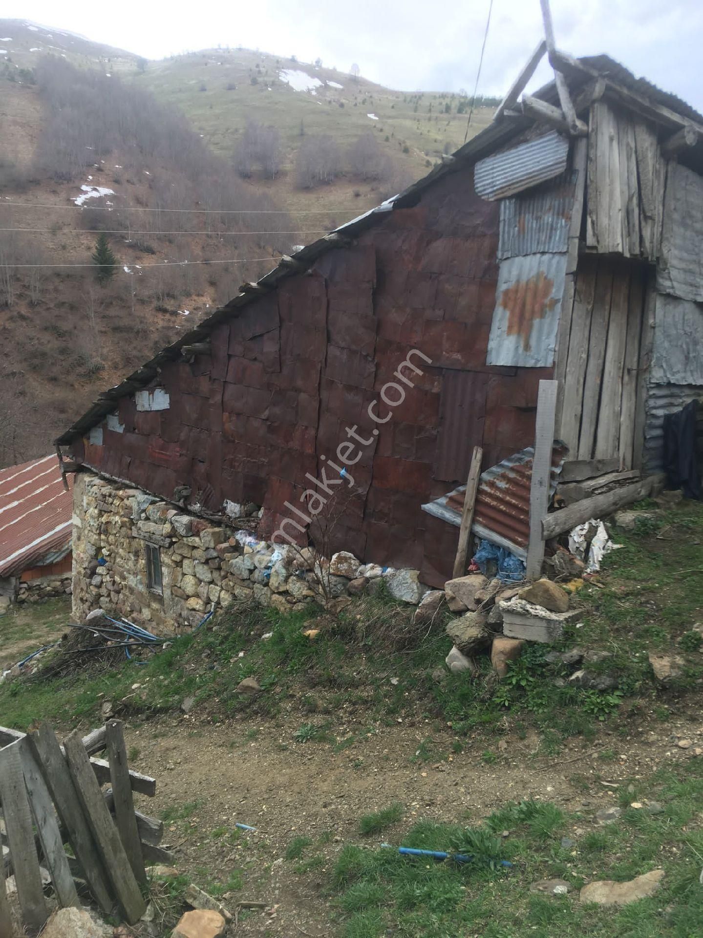 Giresun Alucra Cakrak Yeniköy Satılık - Görsel 8