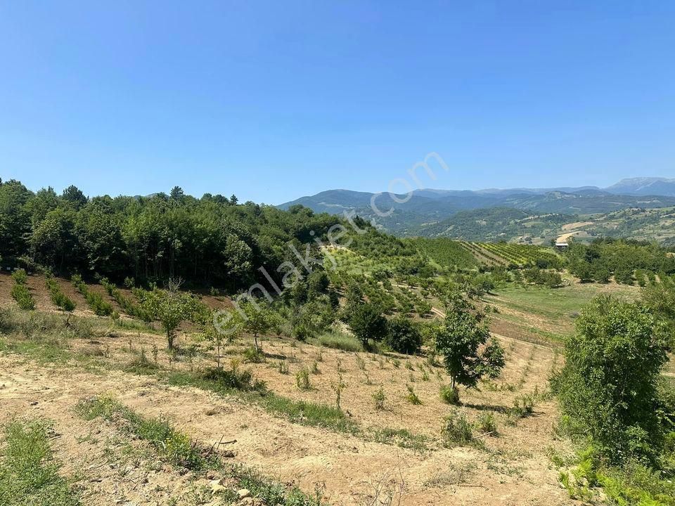 Sahibinden Asfalta Sıfır + Projeli + Resmi İmarlı - Görsel 12