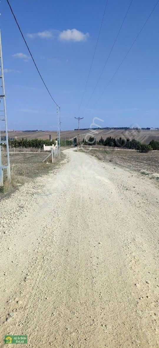 Silivri Çanta Sancaktepe Satılık Tarla Silivri Çanta Da Yola Cephe Tek Tapu