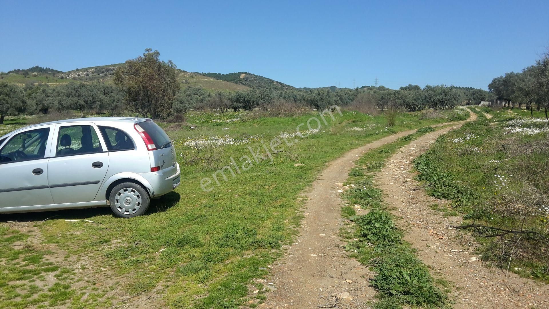 Torbalı Arslanlar Satılık Tarla Torbalı Emlak'tan Torbalı Arslanlar'da Eski Köy İçin Mevkisinde Yolu Olan 5000m2 Arazi Satılıktır