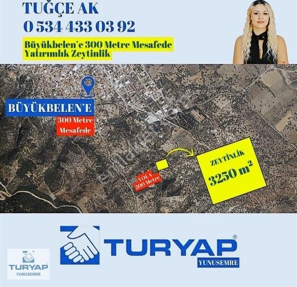 Saruhanlı Büyükbelen Satılık Tarla Saruhanlı Büyükbelen'de Yol Üzeri Zeytinli Tarla