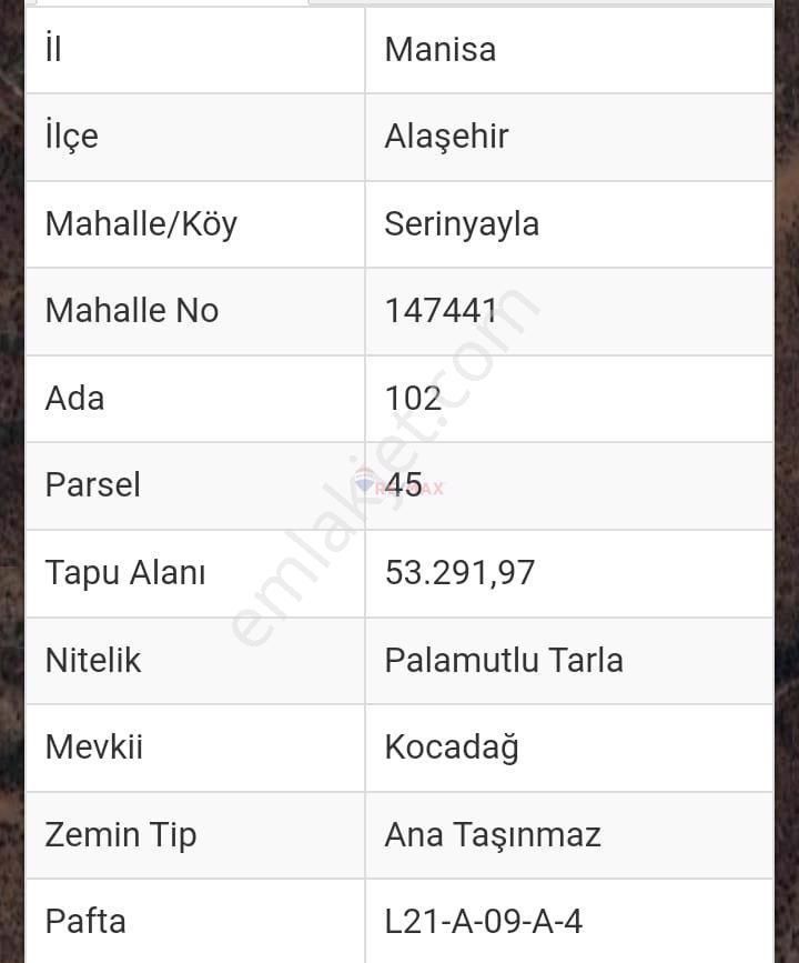 Alaşehir Serinyayla Satılık Tarla Manisa Alaşehir Serinyayla'da 53 Dönüm Tarla