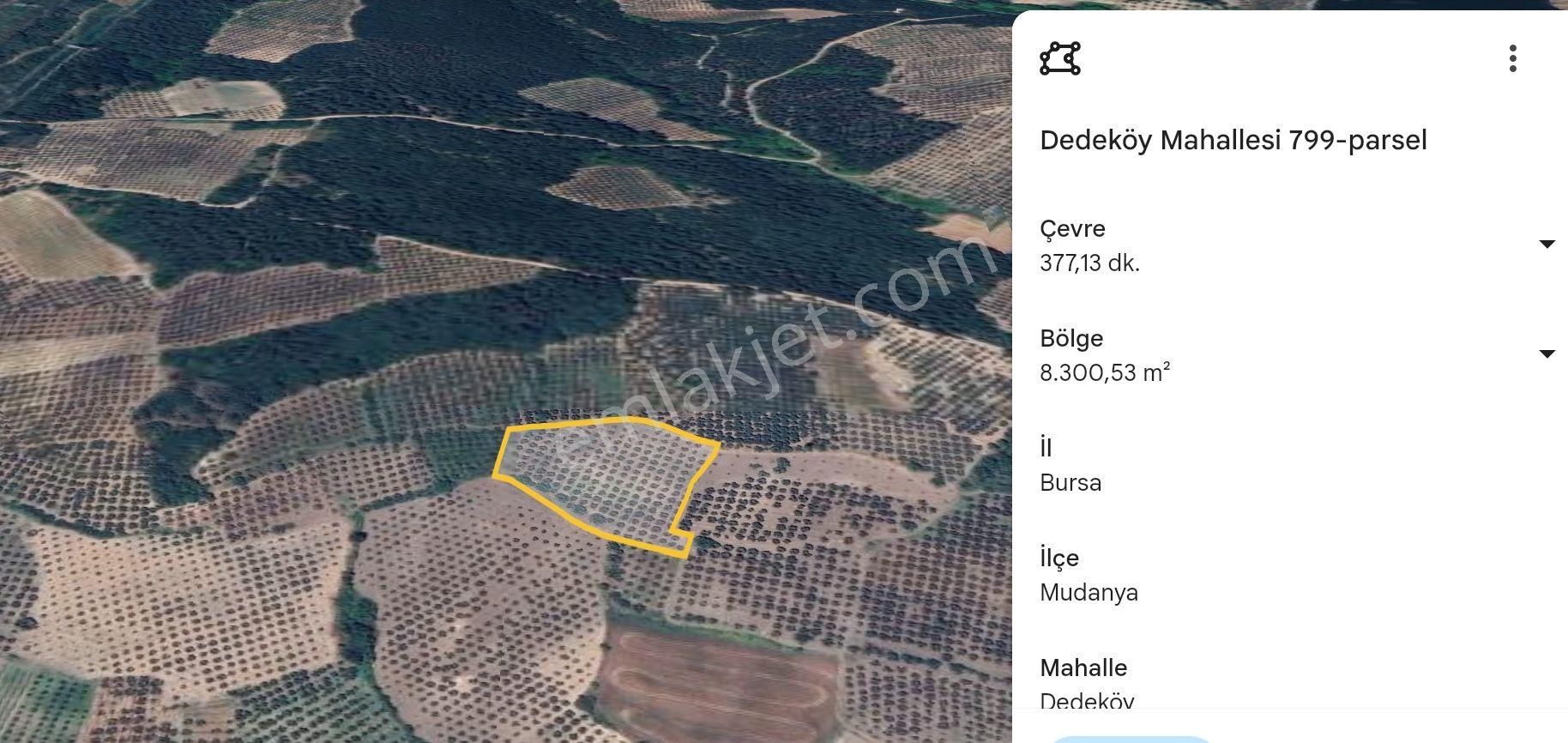 Mudanya Dedeköy Satılık Tarla Bursa Mudanya Dedeköy Müstakil Tapulu 8600 M2 Tarla-zeytinlik