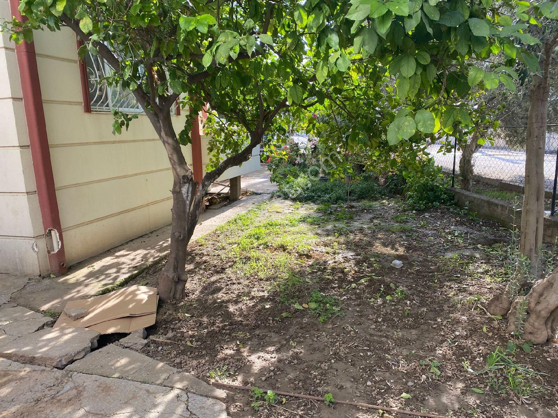 Villa Görünümlü Bina Ve Arsa - Görsel 3