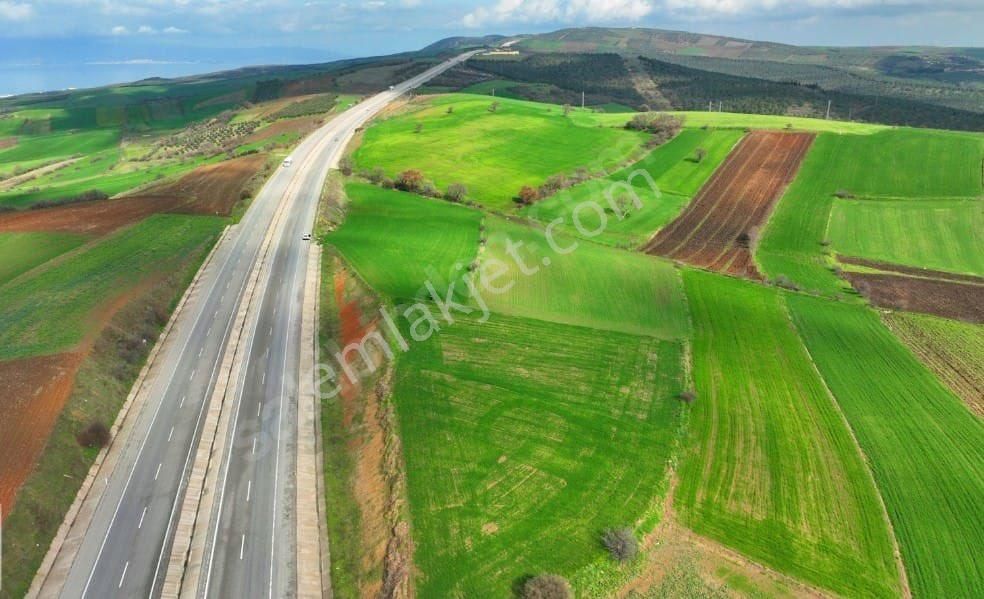 Gönen Gebeçınar Satılık Tarla Balıkesir Gönen Gebeçınar Da Ana Yola Sıfır Satılık 7000 M2 Tarla