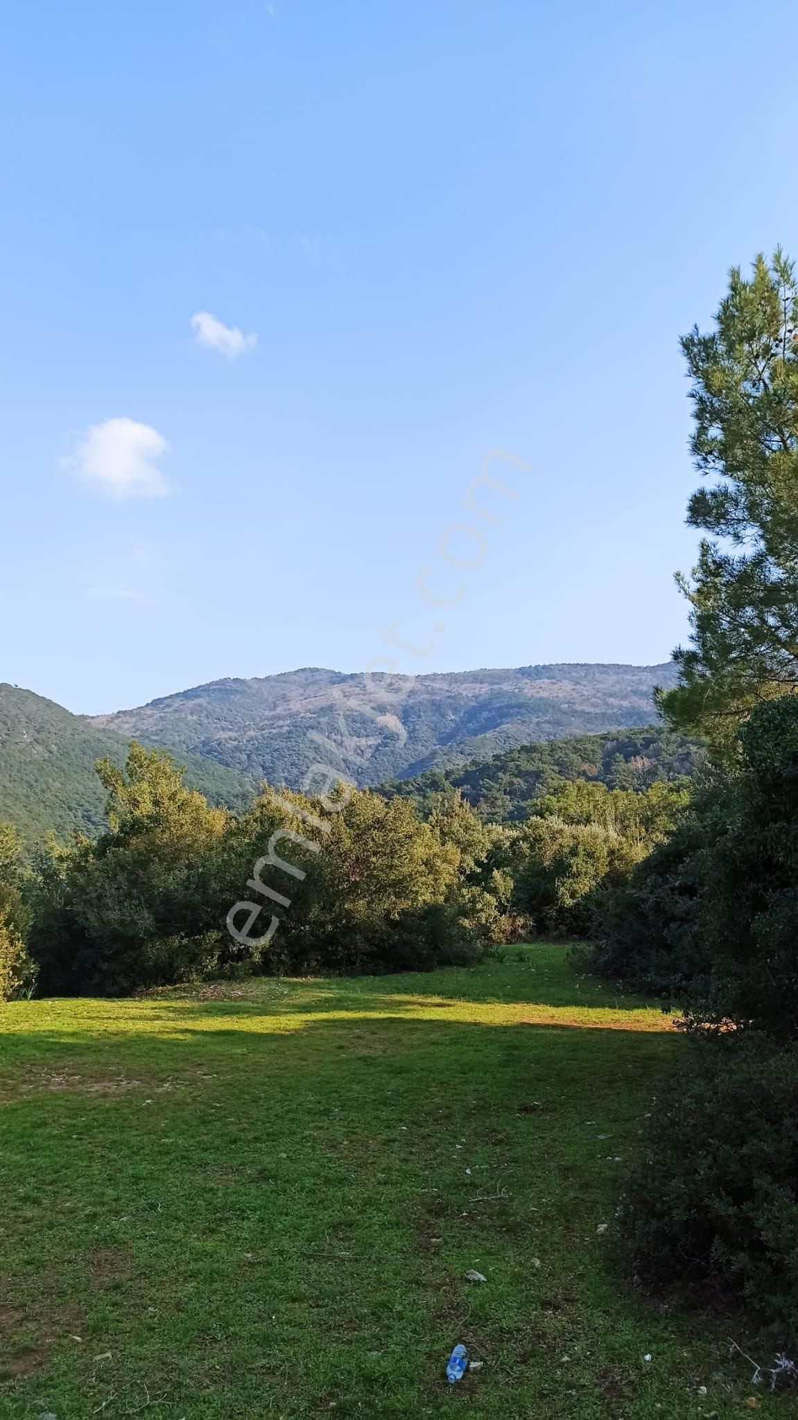 Aydın Kuşadası Güzelçamlı’da Özel Havuzlu Lüks 3+1 Villa - Görsel 42