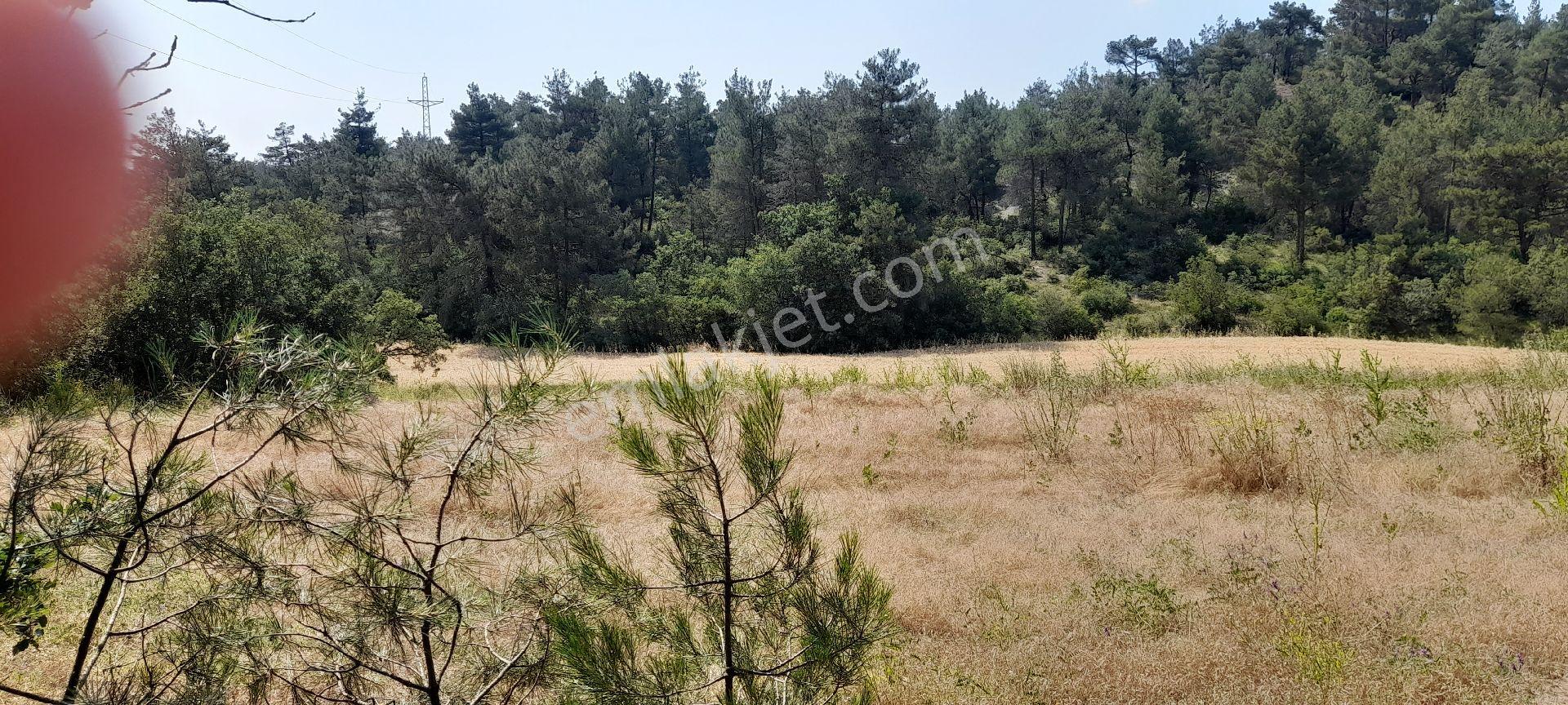 Sahibinden Yola Cephe Anayol 400m.düz 4 Dönüm Sakarya Geyve Taraklı Termal Dibi Arazi - Görsel 7