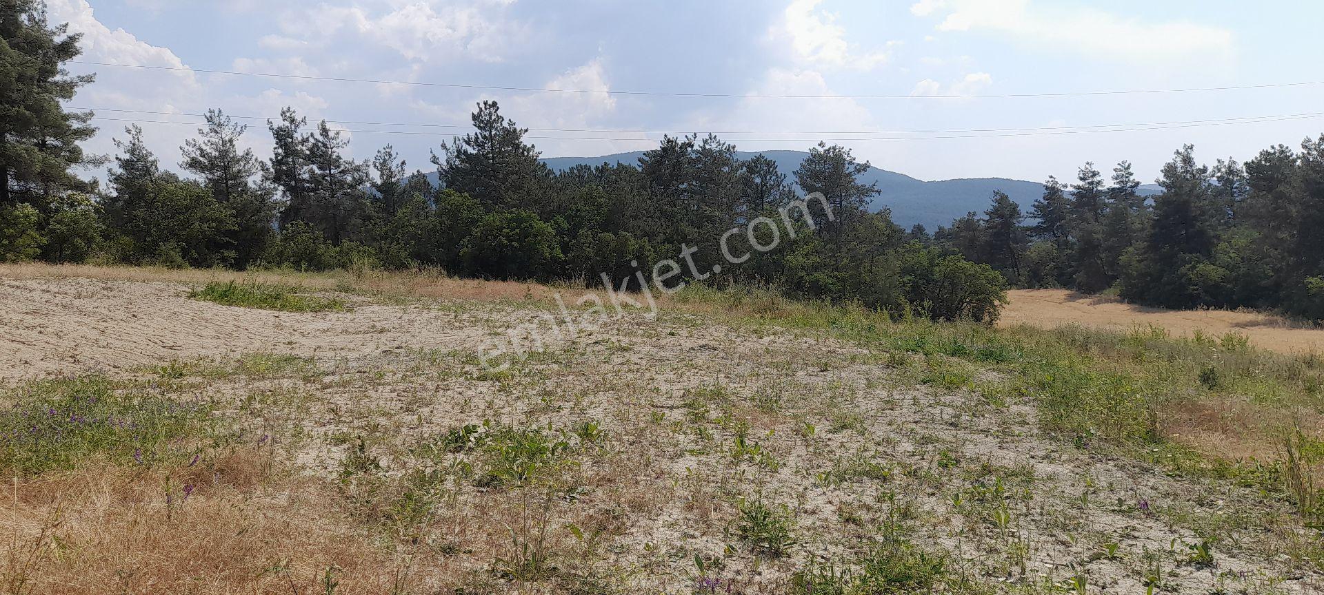 Sahibinden Yola Cephe Anayol 400m.düz 4 Dönüm Sakarya Geyve Taraklı Termal Dibi Arazi - Görsel 8
