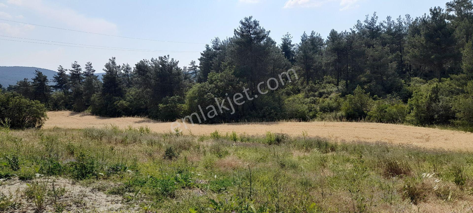 Sahibinden Yola Cephe Anayol 400m.düz 4 Dönüm Sakarya Geyve Taraklı Termal Dibi Arazi - Görsel 6