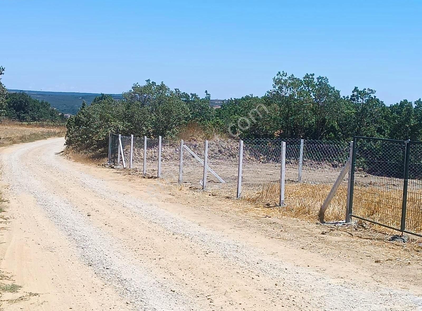 Silivri Çanta Balaban Satılık Konut İmarlı Balabanda İmarlı Resmi Yola Cepheli Etrafı Çevrili Parseller