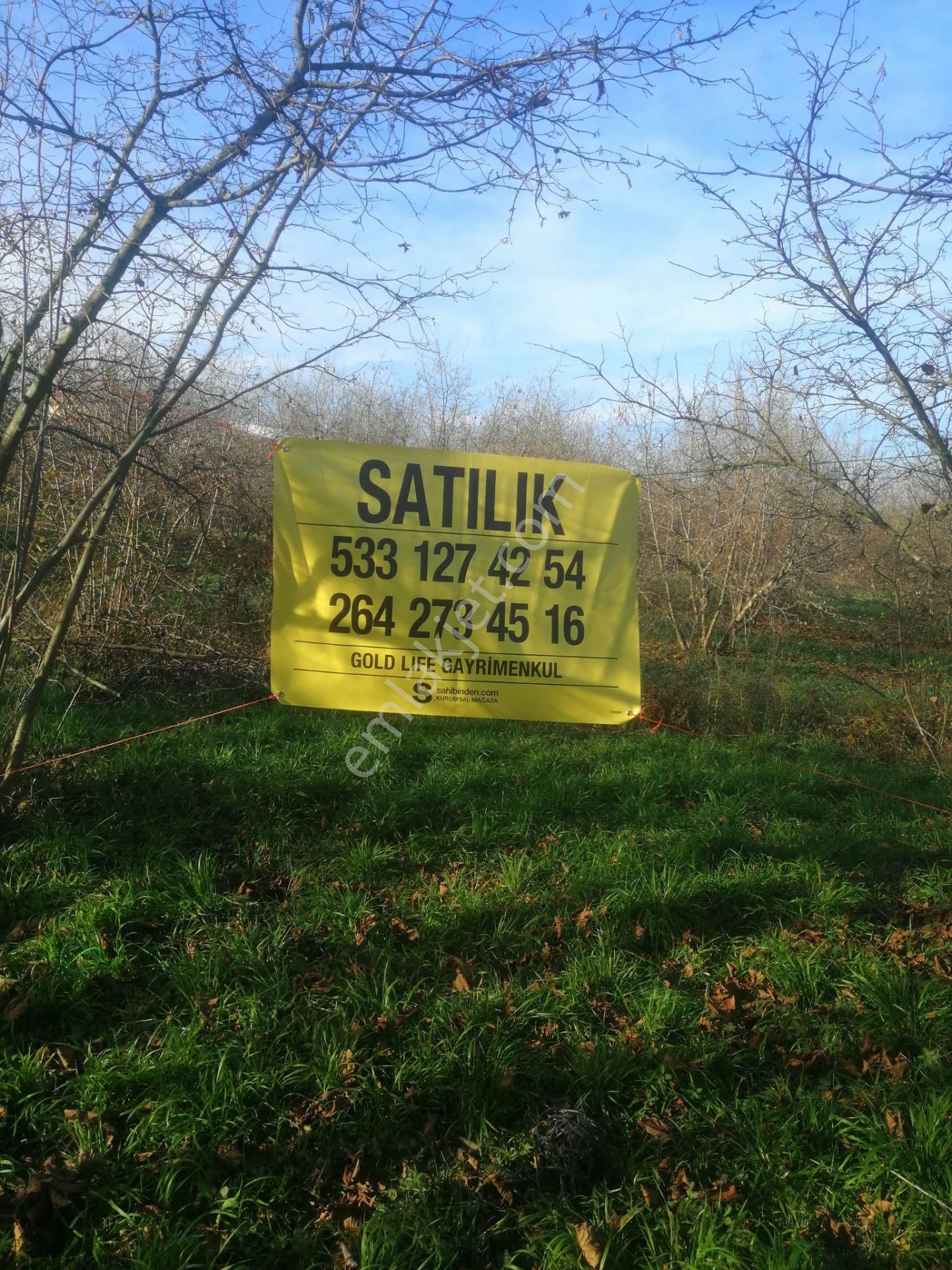 Serdivan Çubuklu Satılık Tarla Goldlıfe Gayrimenkulden Çubuklu Köyünde Arazi