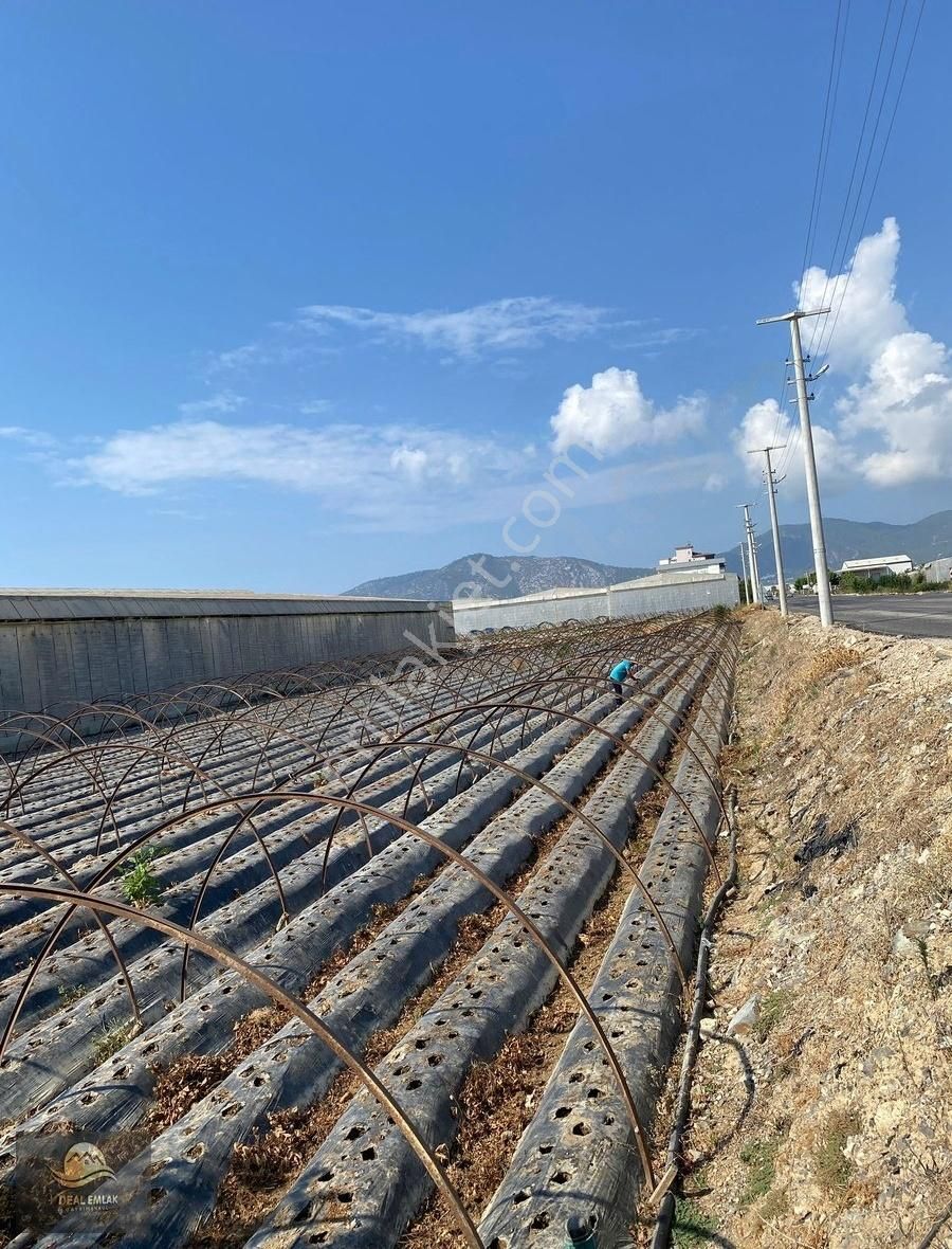 Anamur Güzelyurt Satılık Ticari İmarlı Anamur Güzelyurt Ana Yol Üzeri Satılık İmarlı Arsa