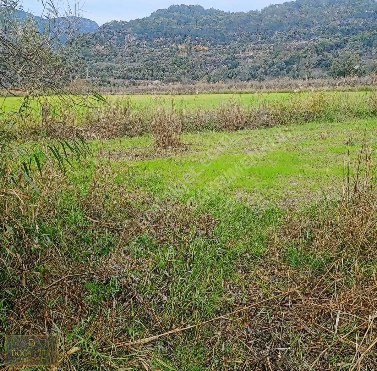 Ortaca Fevziye Satılık Tarla Muğla Dalaman Fevziye Satılık Tarla