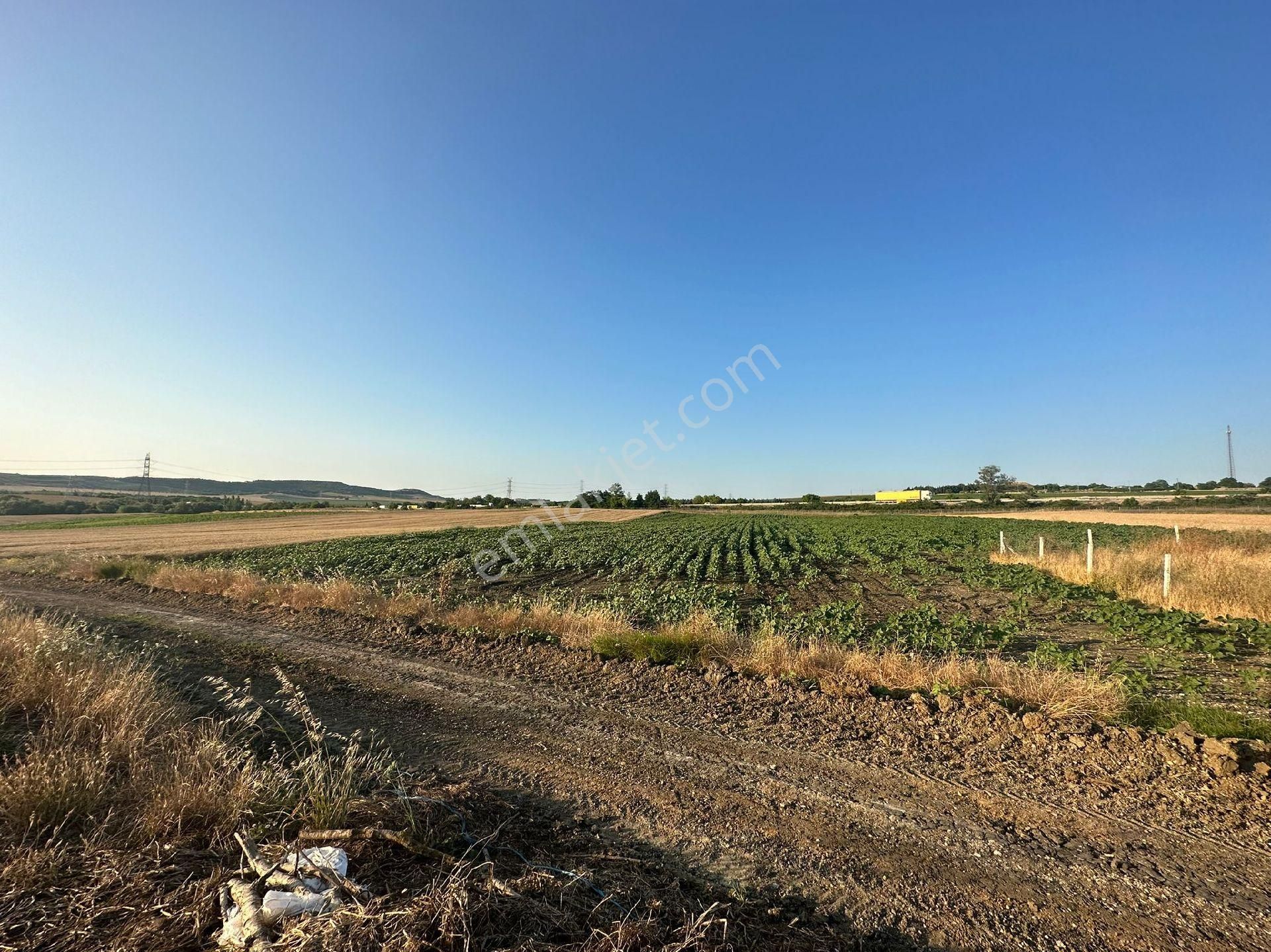 Silivri Seymen Satılık Tarla Silivri Seymen 457m Çaplı Muvafakatnameli