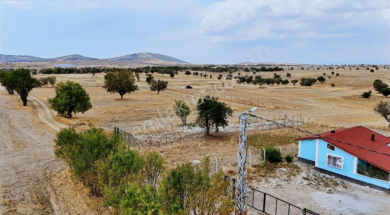 Beyşehir Gökçimen Satılık Tarla Ünüvar Emlak Gayrimenkulden Satılık Bahçelik Tarla