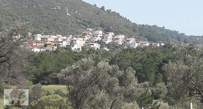 Güzelbahçe Çamlı Satılık Villa Doğa İle Huzurun Bir Arada Olduğu Cam Ormanlarının İçinde