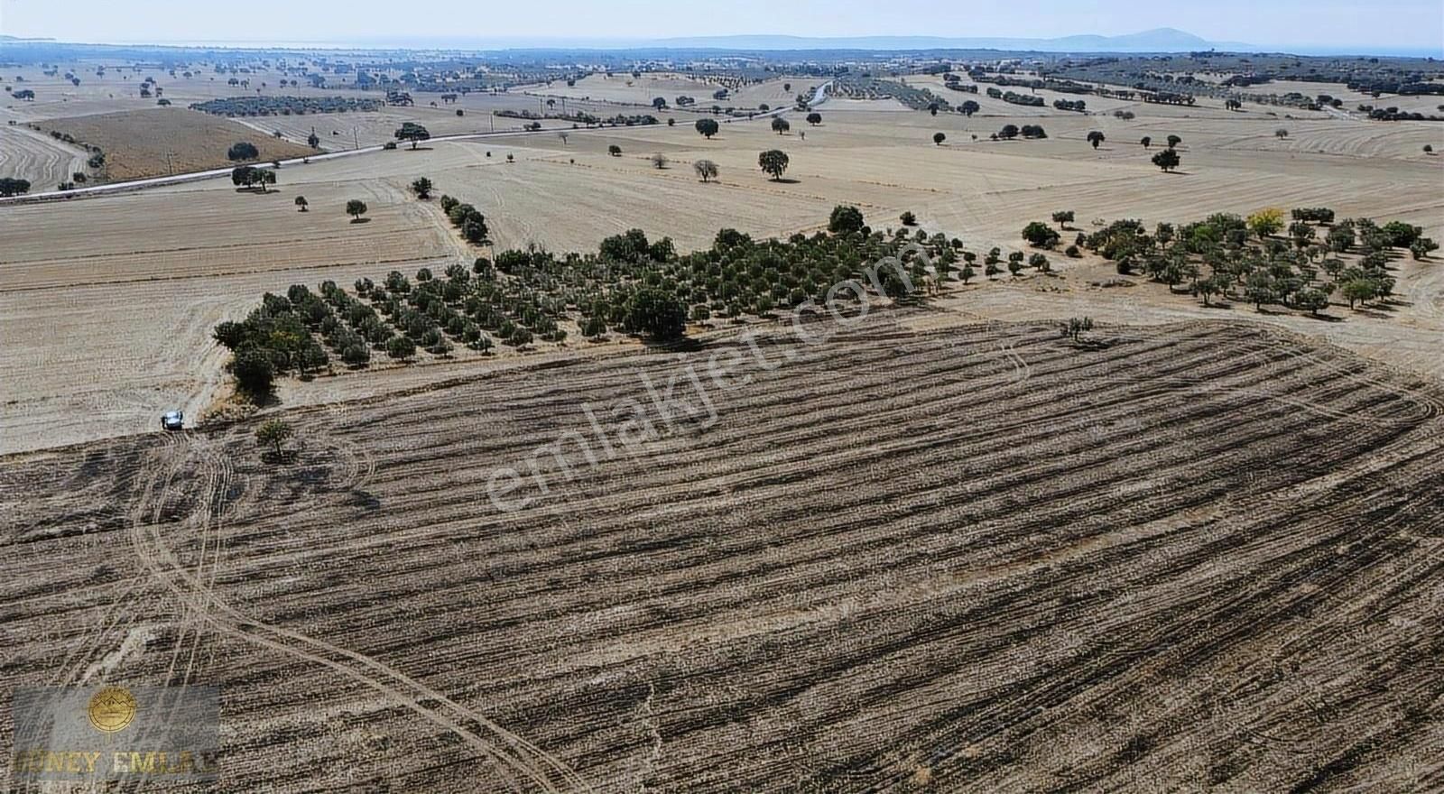 Ezine Kumburun Köyü Satılık Tarla Güney Emlaktan Kumburun Köyünde 20.000 M2 Satılık Tarlaa