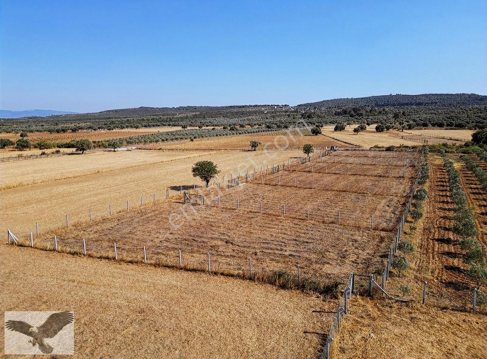 Menderes Gölova Satılık Tarla Menderes Gölovada Denize 6 Km 718 M2 Tapulu Satılık Parseller