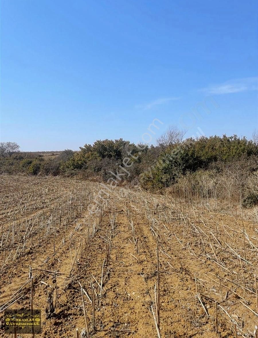 Uzunköprü Türkobası Köyü Satılık Tarla Türkobası Köyünde 1110 M2 Tek Tapu Köşe Başı Köye Yakın Arsa