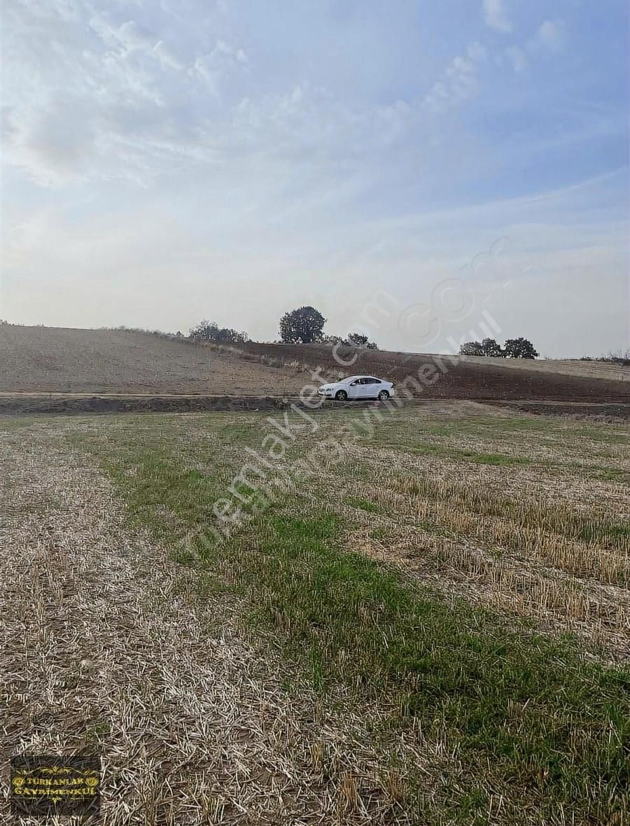 Edirne Merkez Büyükdöllük Köyü Satılık Tarla Edirne Merkeze 10 Dk Mesafede 1380 M2 Yola Cephe Satılık Arsa