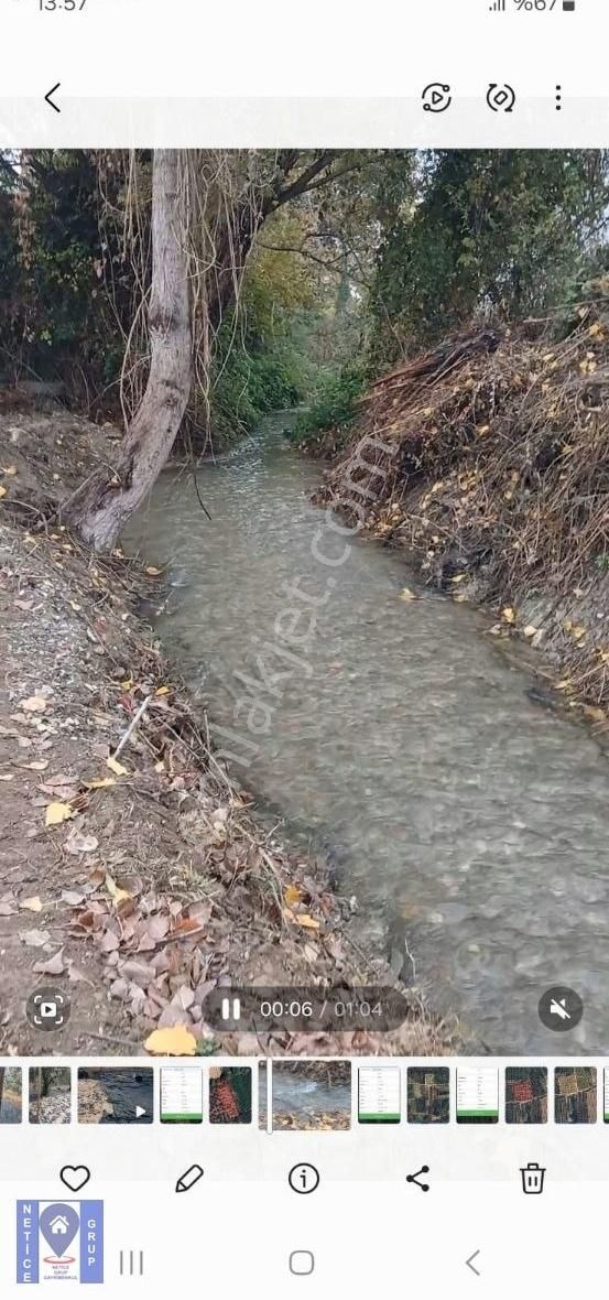 İznik Dereköy Satılık Tarla Bursa İznik Te Satılık Meyve Bahçesi