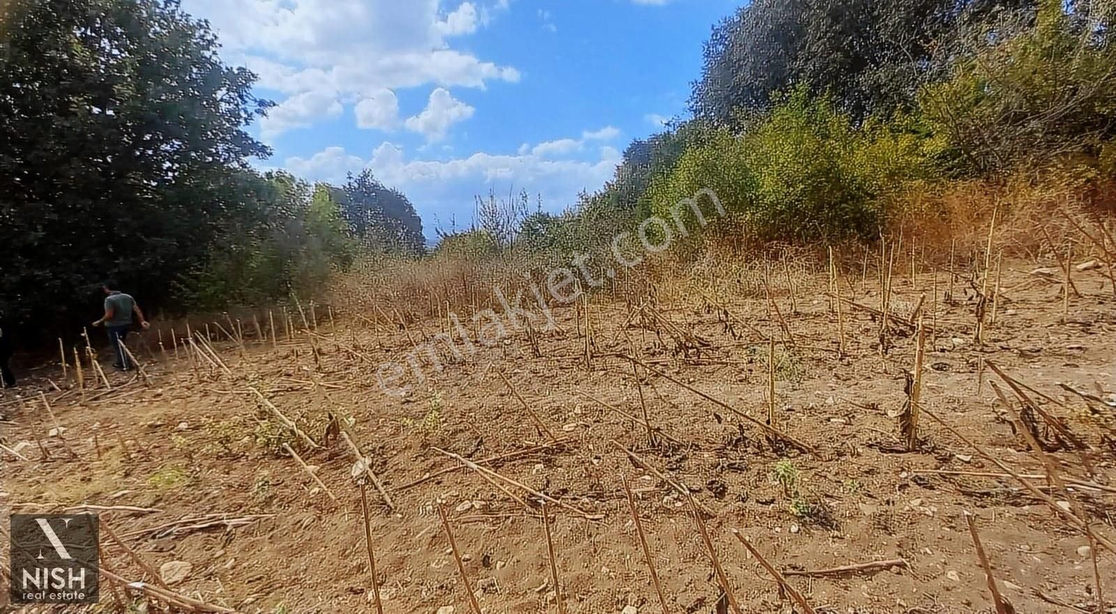 İnegöl Süpürtü 'de Çaylar Mevkii Satılık Tarla - Görsel 15