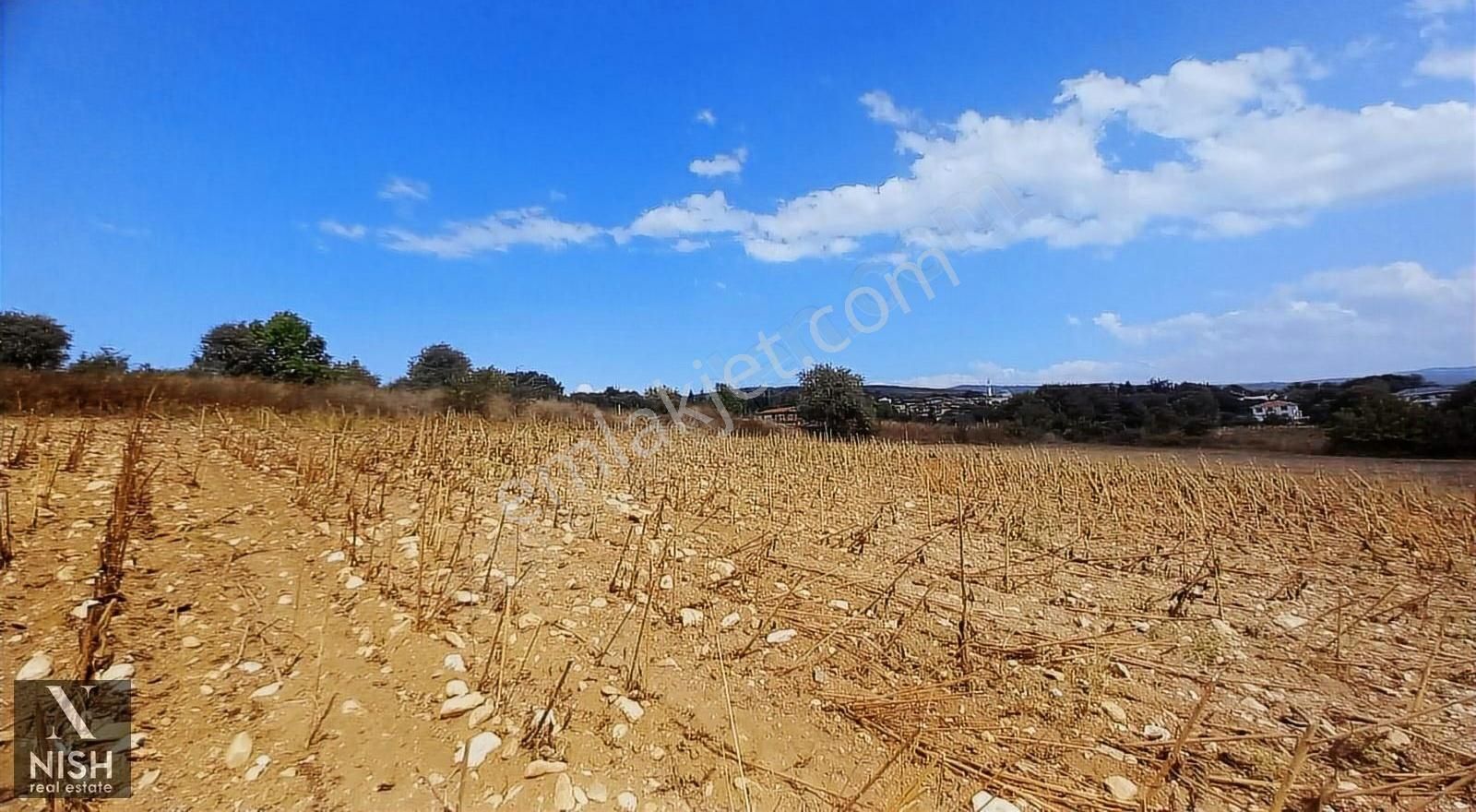İnegöl Süpürtü 'de Çaylar Mevkii Satılık Tarla - Görsel 3