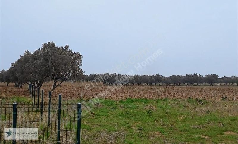 Şarköy Eriklice Satılık Tarla Şarköy Eriklice'de Denize Sıfır Deniz Manzaralı Satılık Arsa