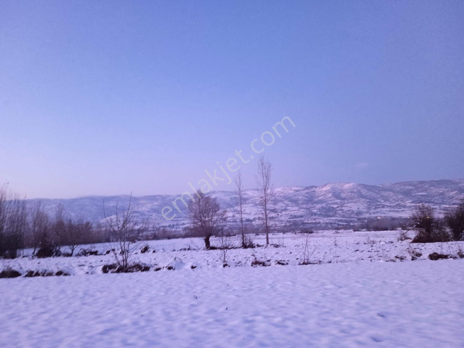 Tokat Merkez Ulaş Köyü Satılık Tarla Tokat Merkez Varaz Koyunde Satlik Tarla