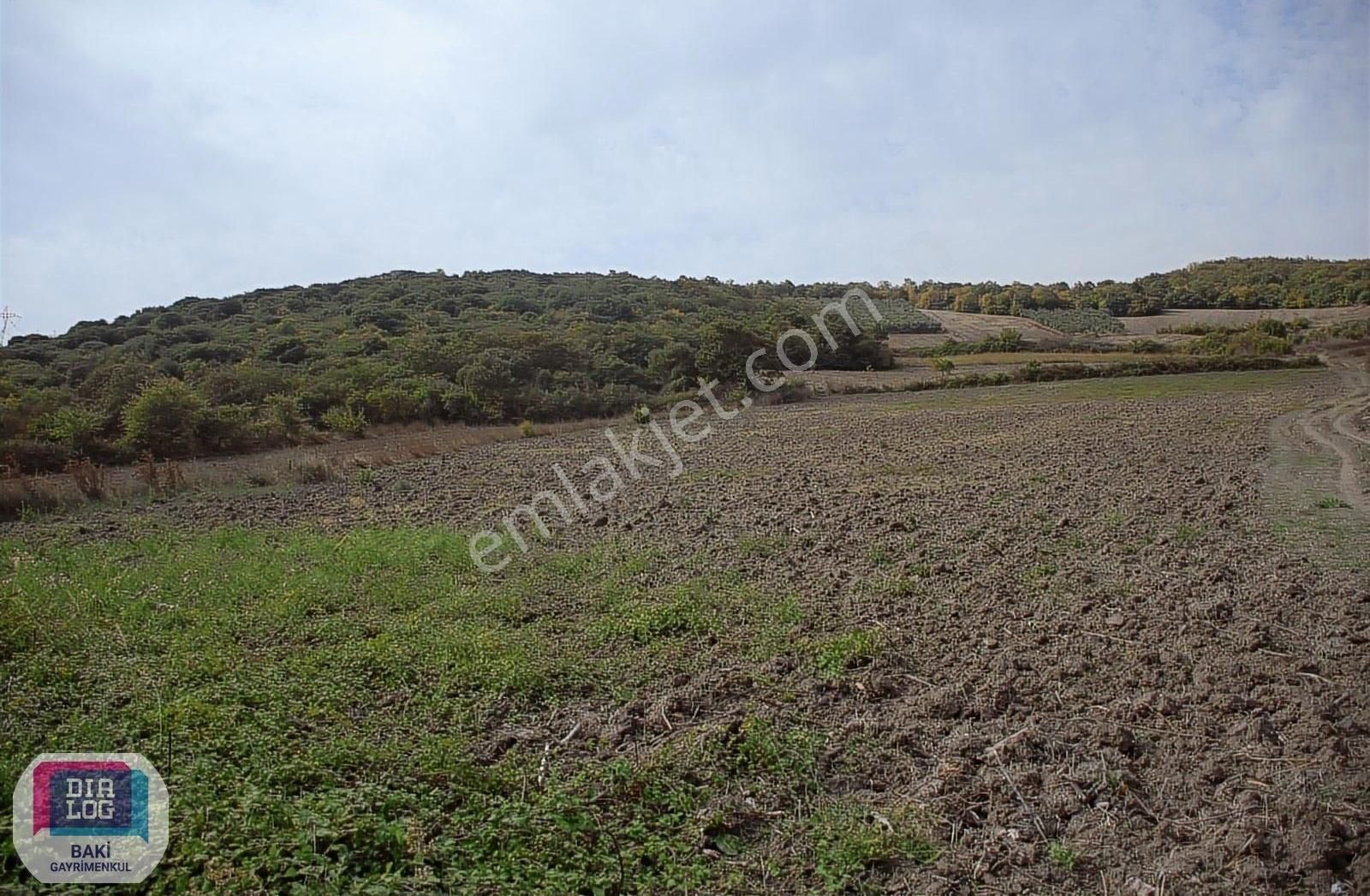 Mudanya Yörükyenicesi Satılık Zeytinlik Mudanya Yörükyenicesi'nde 2 Yola Cepheli 7894 M² Yatırım Fırsatı