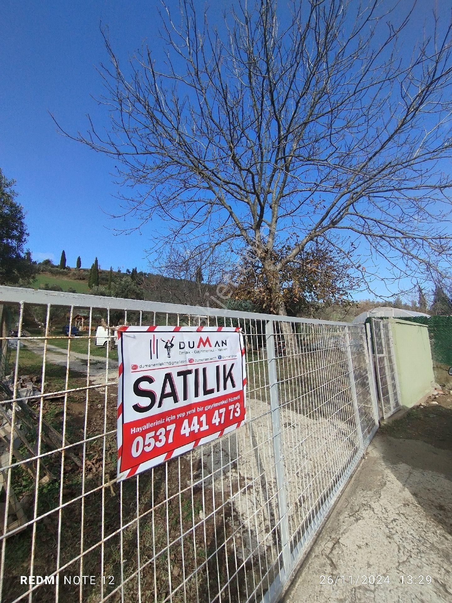 Çınarcık Şenköy Köyü Satılık Tarla Satılık Kelepir Tarla Bölgenin En Uygun Zeytin Tarlası