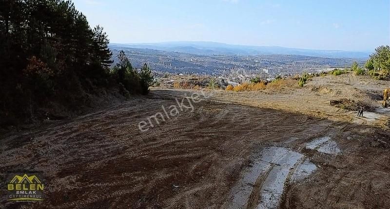 Ana Yola Sıfır Cepheli Ticari Arsamiz - Görsel 4