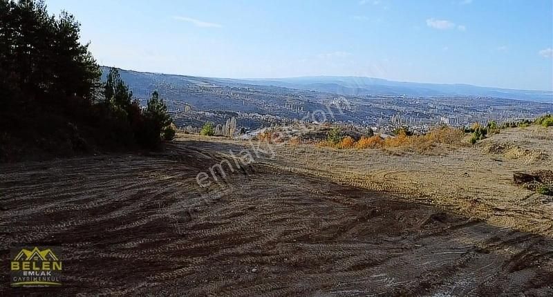 Ana Yola Sıfır Cepheli Ticari Arsamiz - Görsel 8