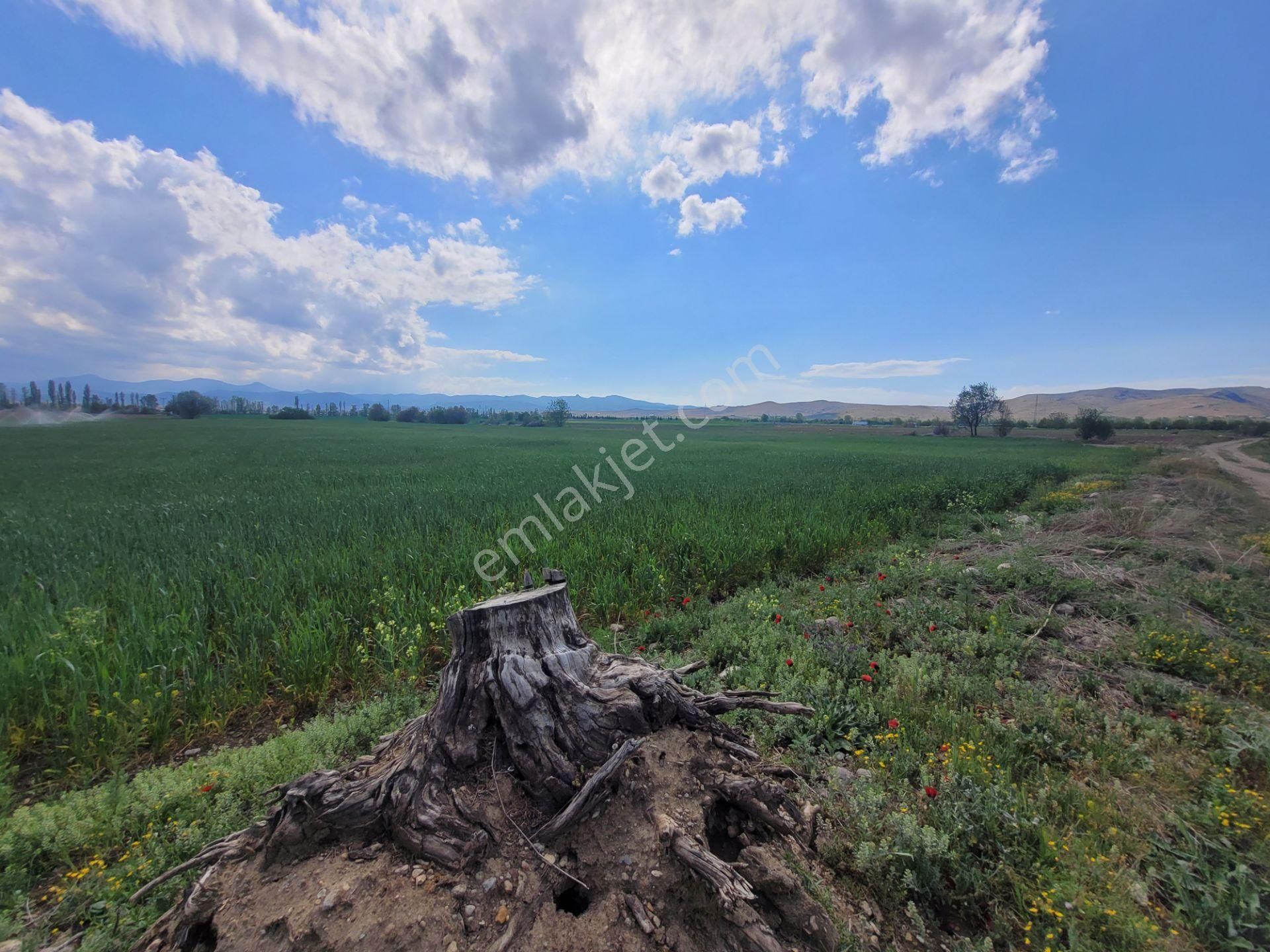 İlbey // Şuhut Ağzıkara-çökek Mevkinde 34.559 M² Tarla - Görsel 7