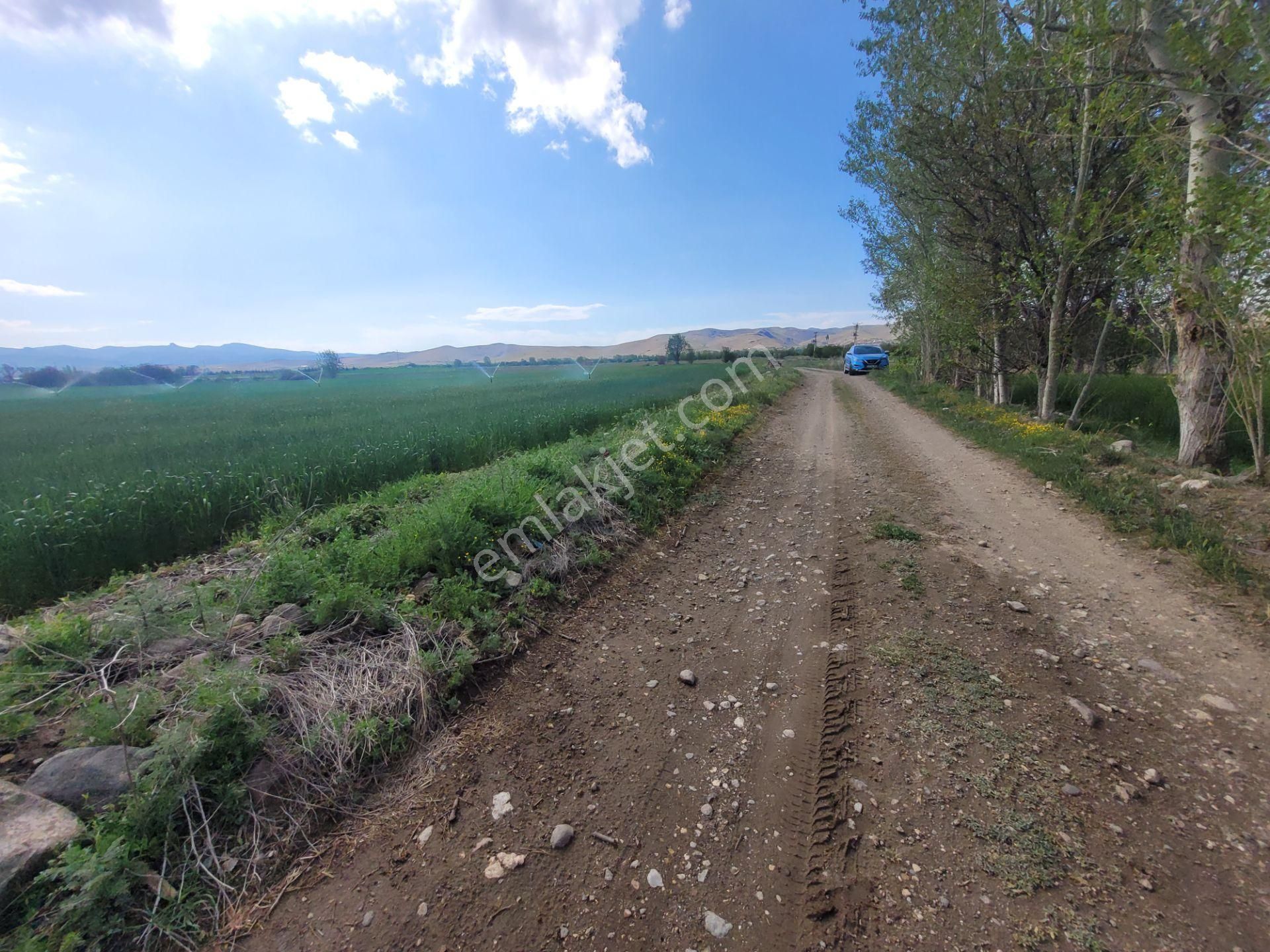 İlbey // Şuhut Ağzıkara-çökek Mevkinde 34.559 M² Tarla - Görsel 6