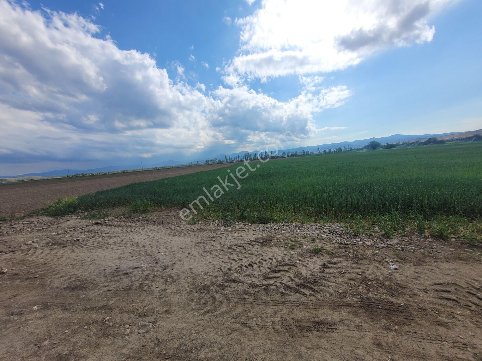 İlbey // Şuhut Ağzıkara-çökek Mevkinde 34.559 M² Tarla - Görsel 3