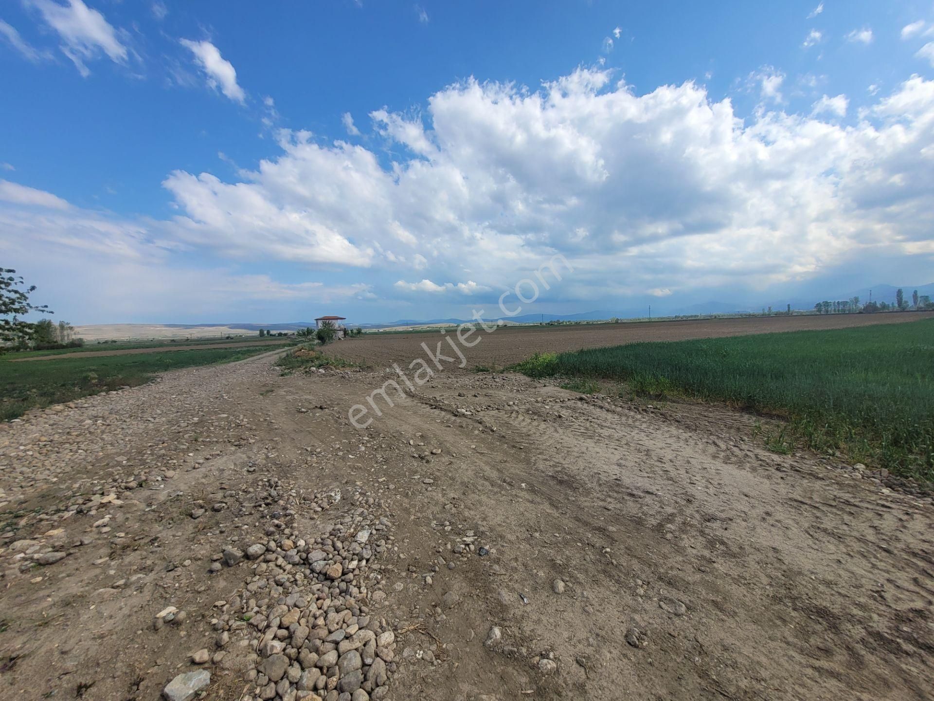 İlbey // Şuhut Ağzıkara-çökek Mevkinde 34.559 M² Tarla - Görsel 2