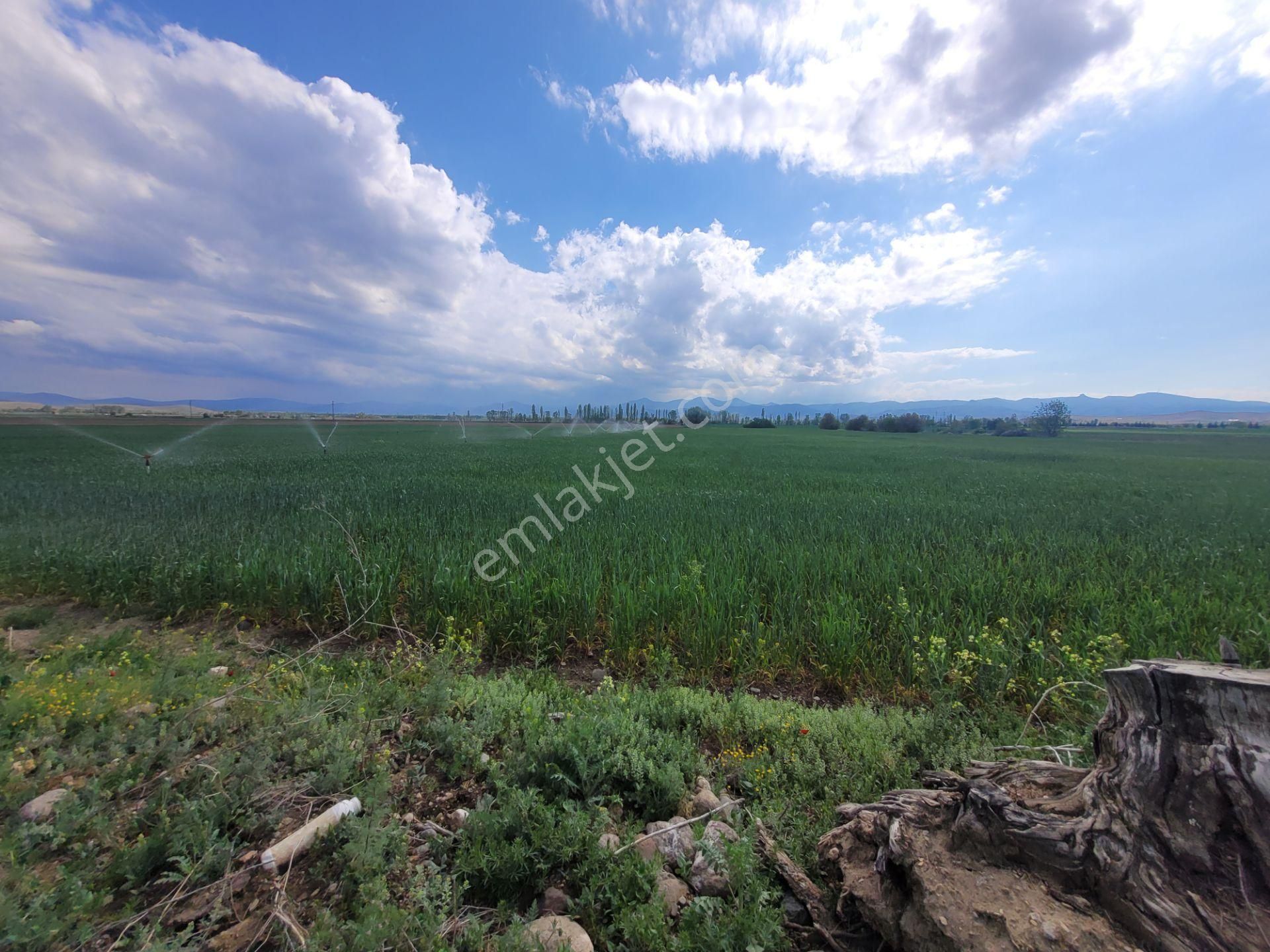 İlbey // Şuhut Ağzıkara-çökek Mevkinde 34.559 M² Tarla - Görsel 8