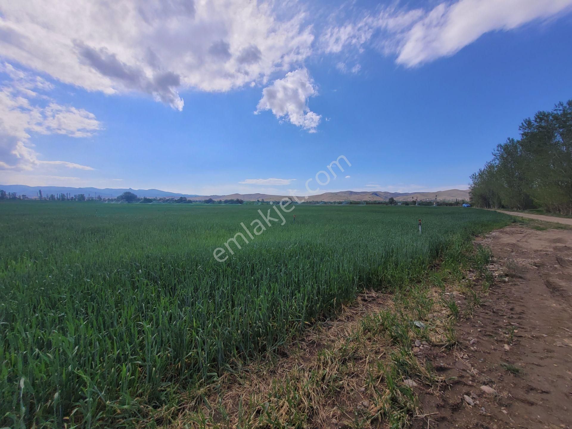 İlbey // Şuhut Ağzıkara-çökek Mevkinde 34.559 M² Tarla - Görsel 4