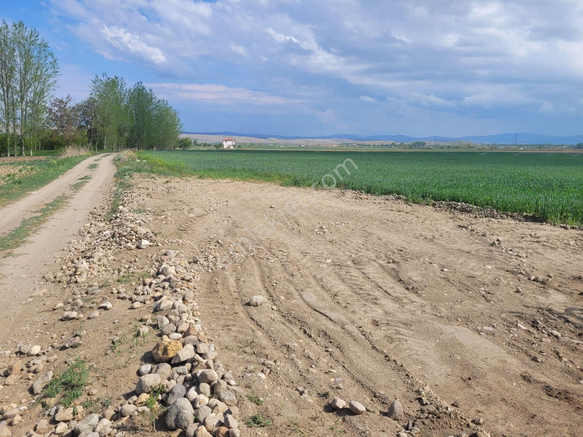 İlbey // Şuhut Ağzıkara-çökek Mevkinde 34.559 M² Tarla - Görsel 12