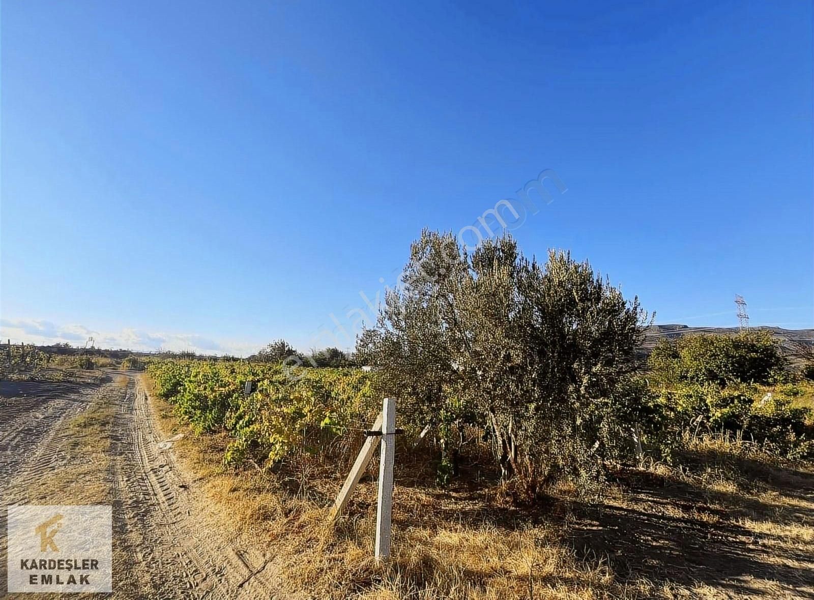 Menemen Haykıran Satılık Bağ & Bahçe Kardeşler Emlak'tan Menemen Haykıran'da Satılık 1100m2 Tarla